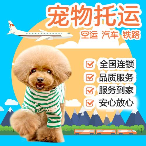 重庆江津专车托运
